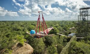 Travelers’ Choice Awards reconoce a Selvatica y Columbus por su excelencia